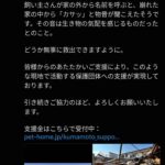 レス1番の画像2