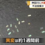 レス3番の画像1