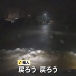 レス39番の画像3